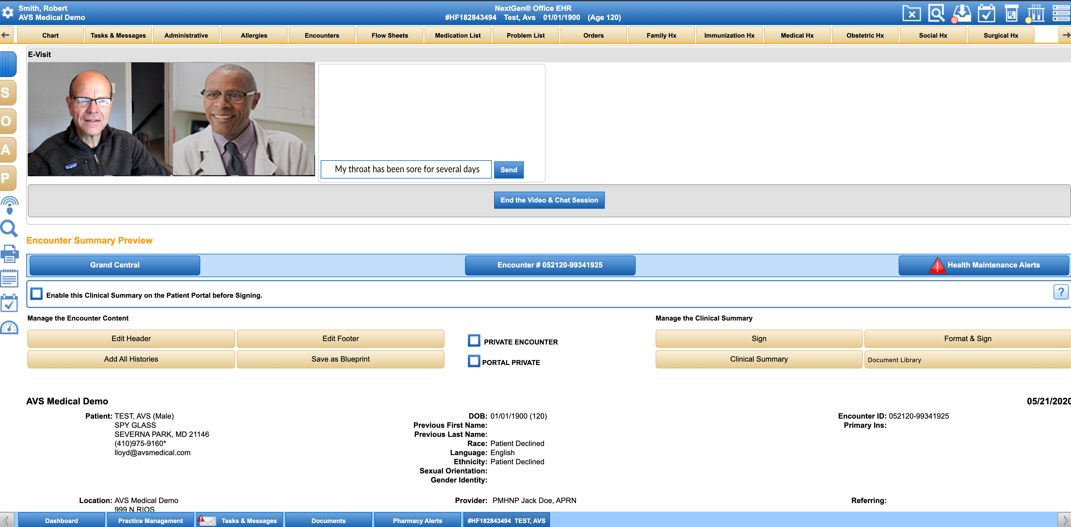 patient and provider view of a telemedicine session