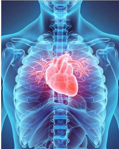 NextGen Office cloud based emr for cardiology