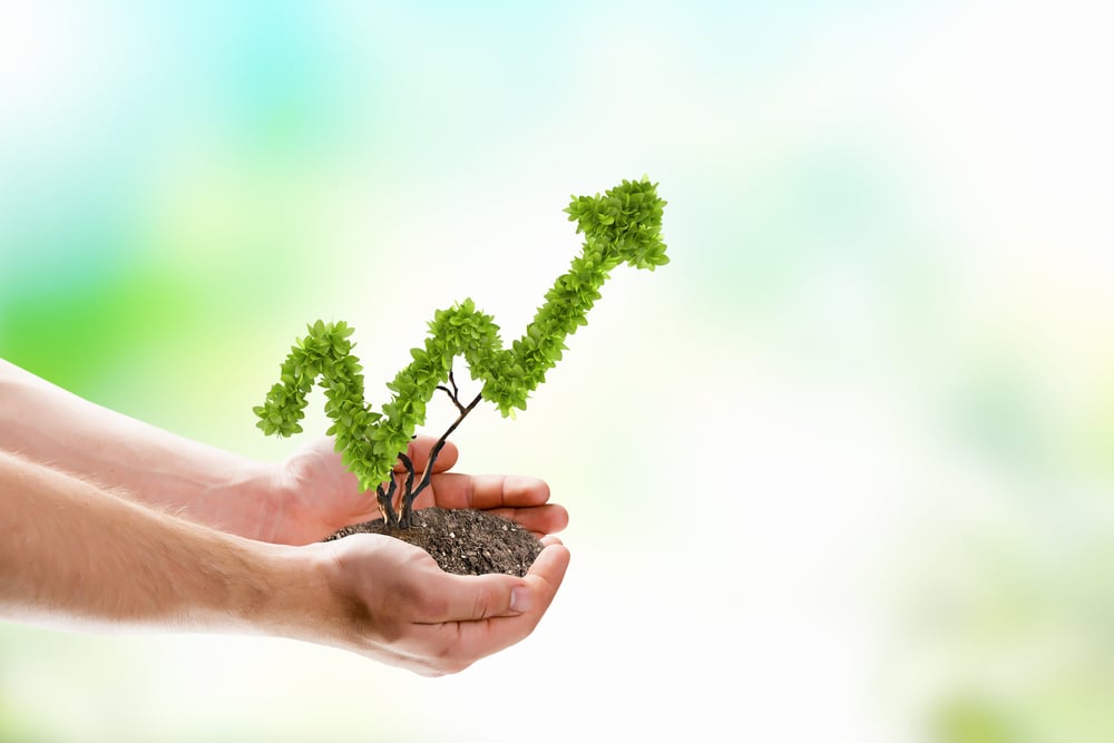 Why Outsourcing Your Billing is the Key to Small Practice Success