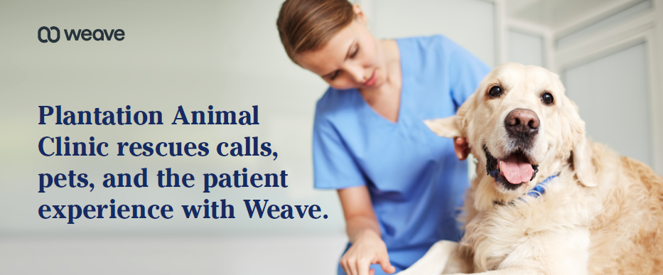 vet case study thumb